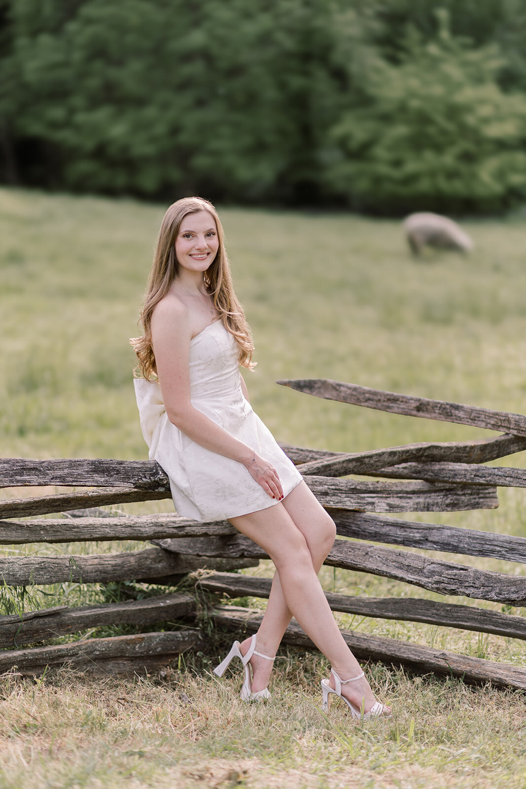 Colonial Williamsburg senior portrait