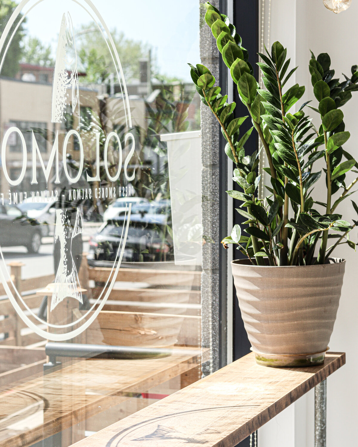 the Solomos logo on a glass window
