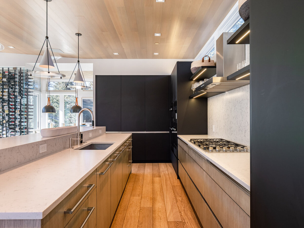 203 N Monarch Street, Aspen (8)