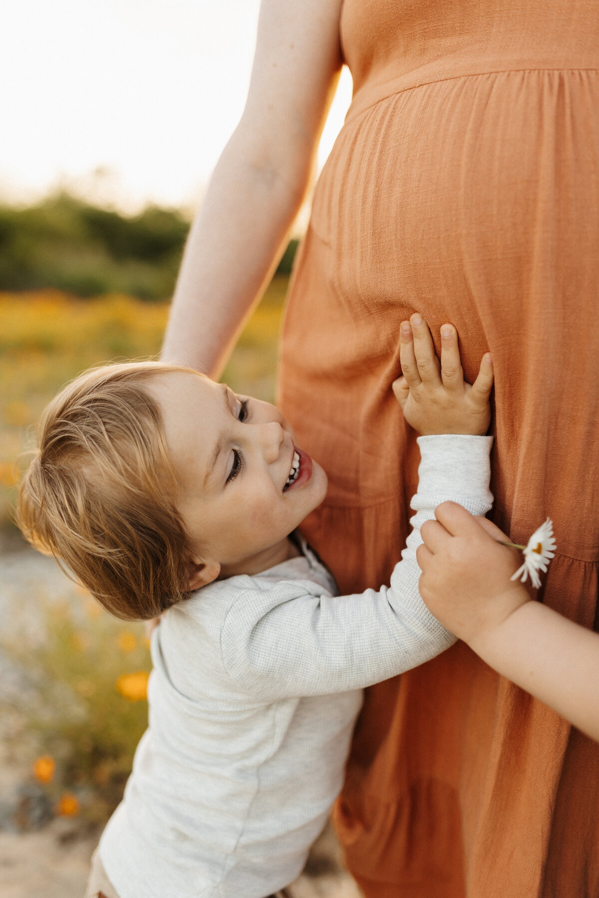 A little boy holding his mothers pregnant belly during a family maternity photoshoot in christchurch