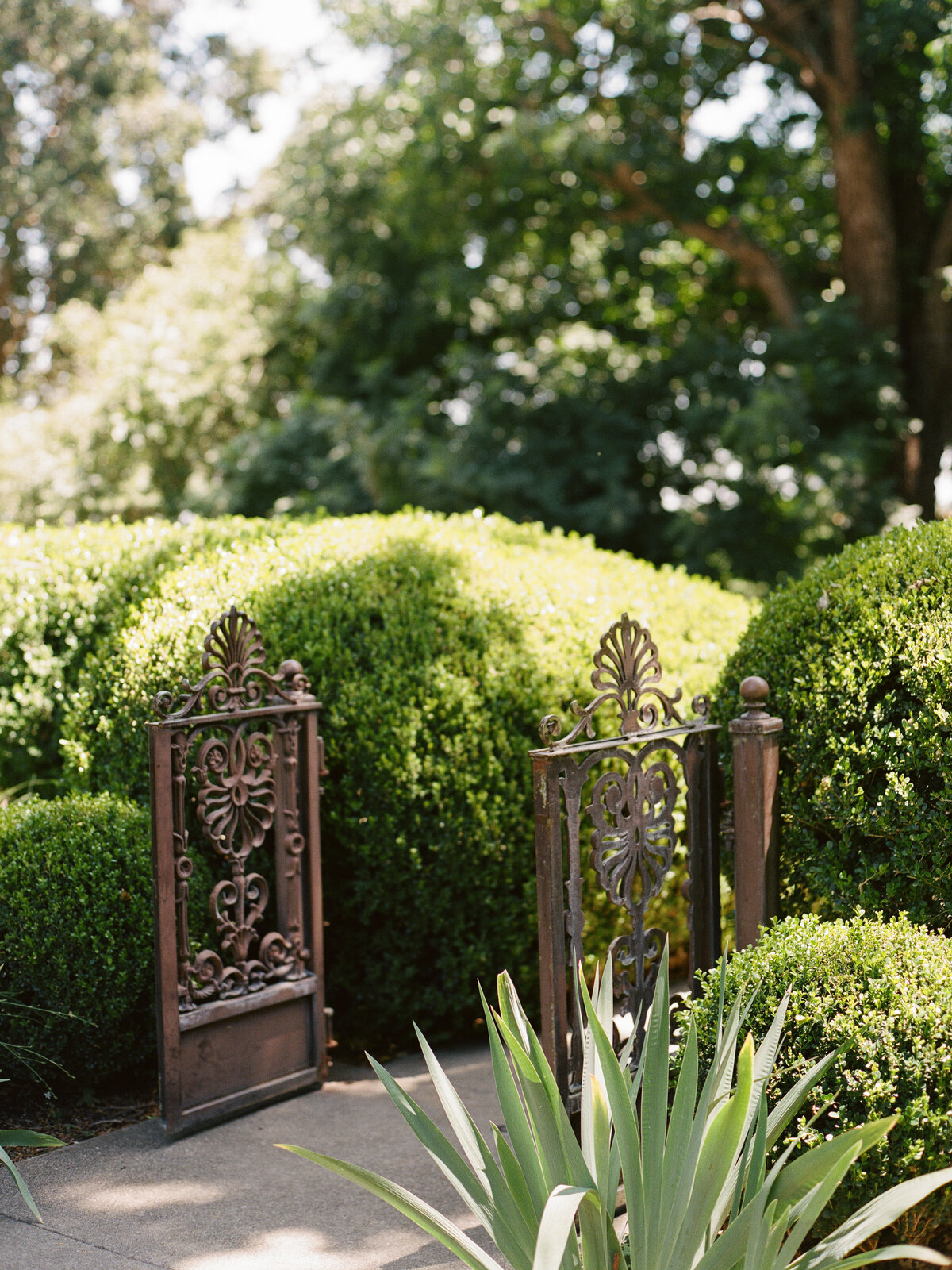 Bethany+KevinCaliforniaParkWintersWeddingCassieValentePhotography0002