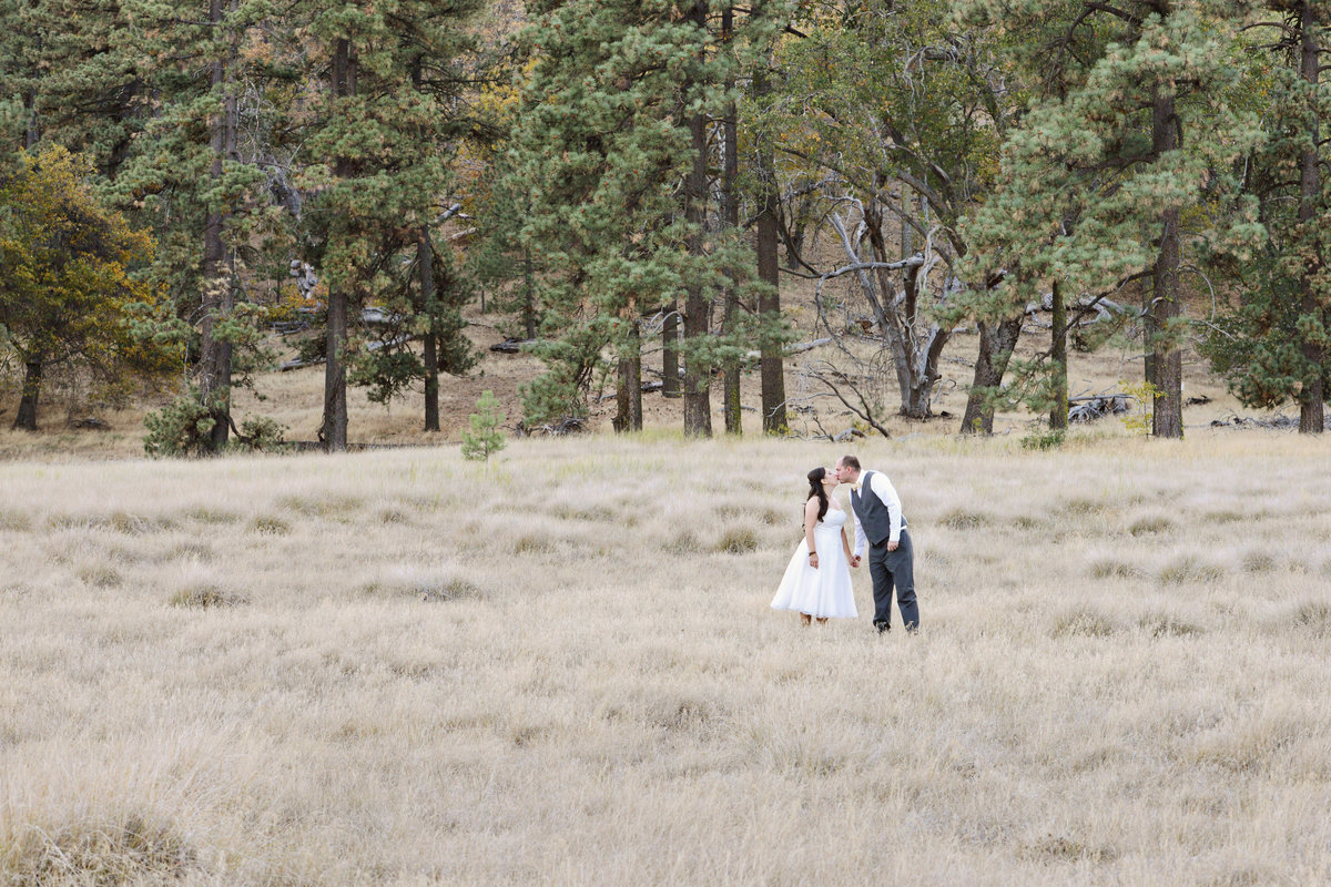 bride and groom standing near woods in Alpine California