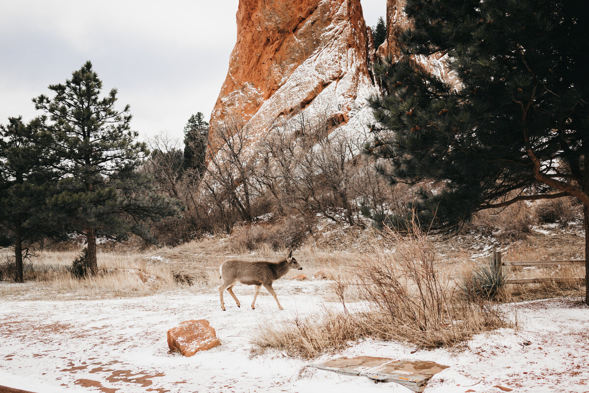 Colorado-Elopement-Photography-181
