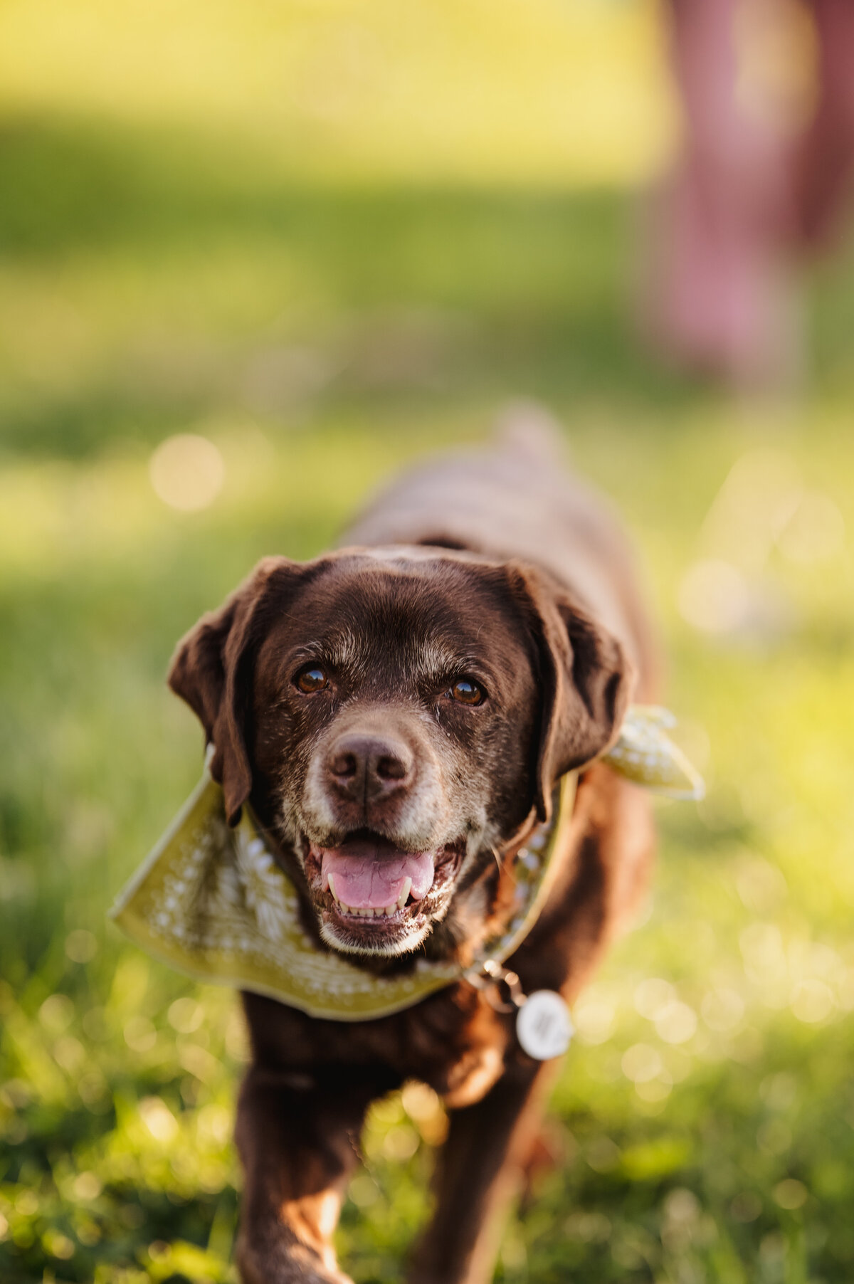 NicoleS_Fall2025_028