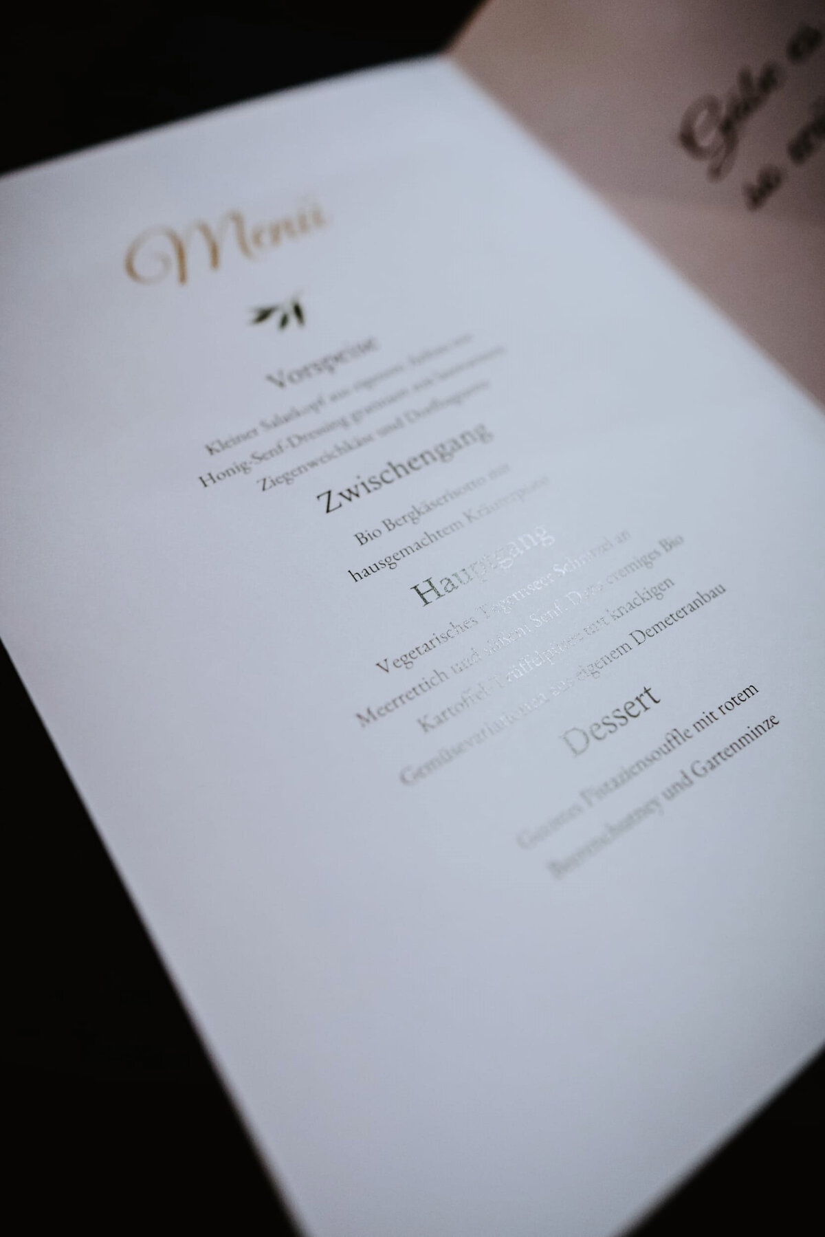 Hochzeit Landgasthof Meier Restaurant Hilzhof bei Nürnberg_Gay wedding photographer SELENE ADORES_245