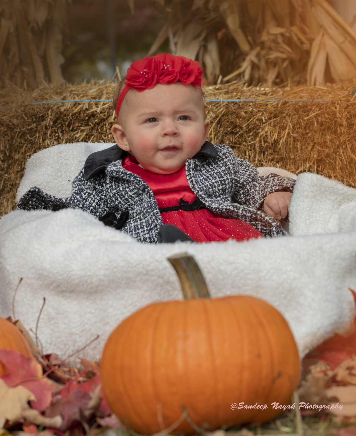kid photogrAPHY OF 8 MONTH OLD BABY IN FALL COLORS IN PARK mICHIGAN PixMemora studio photography