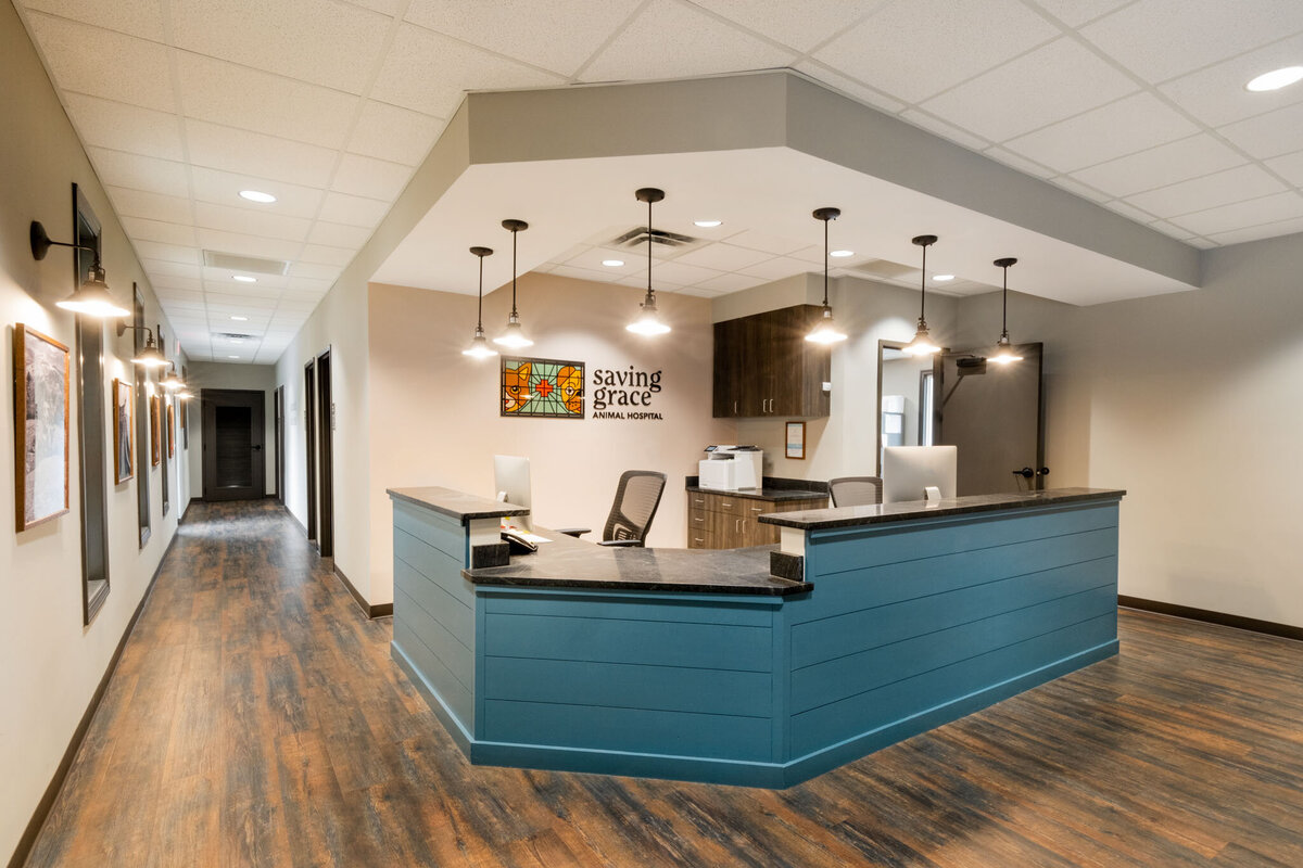 Saving Grace Animal Hospital-4