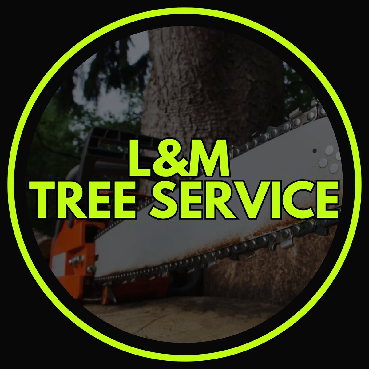 L&M Tree Service work site