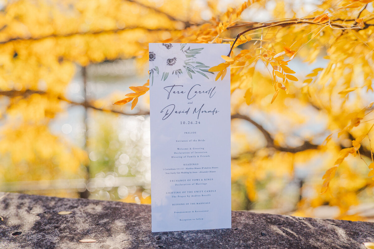 TDWedding-9