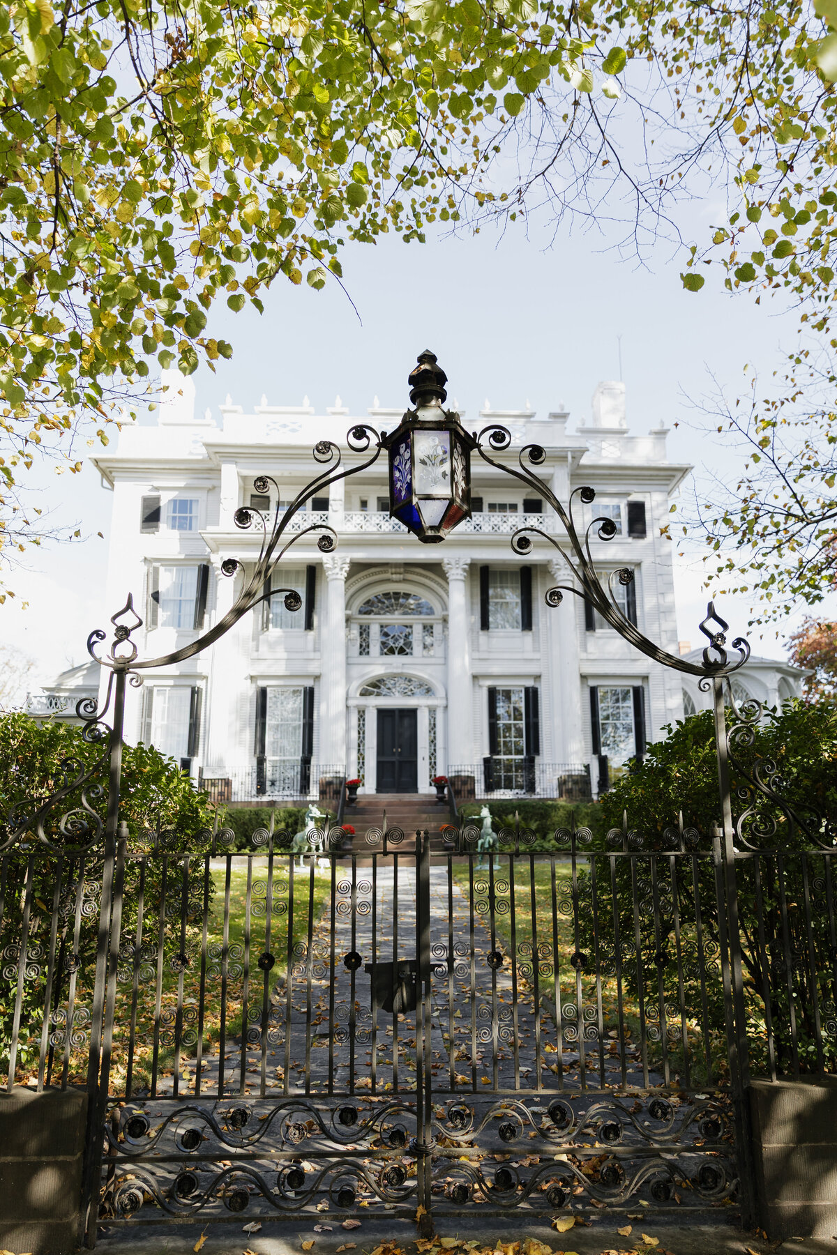 K. Lauren Photography - The Dibaris-17