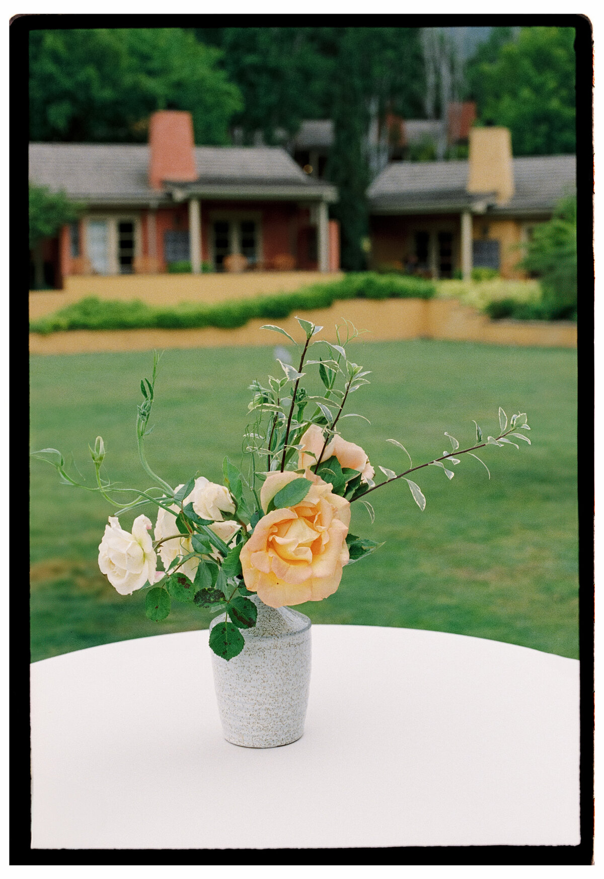 N + S Film-60