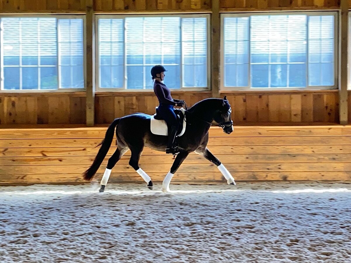 jp-dressage-kynynmont-farm-pa-19