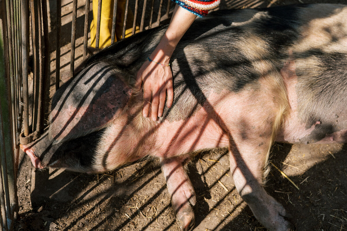 FotostudioFlora_Sengersbroek-9