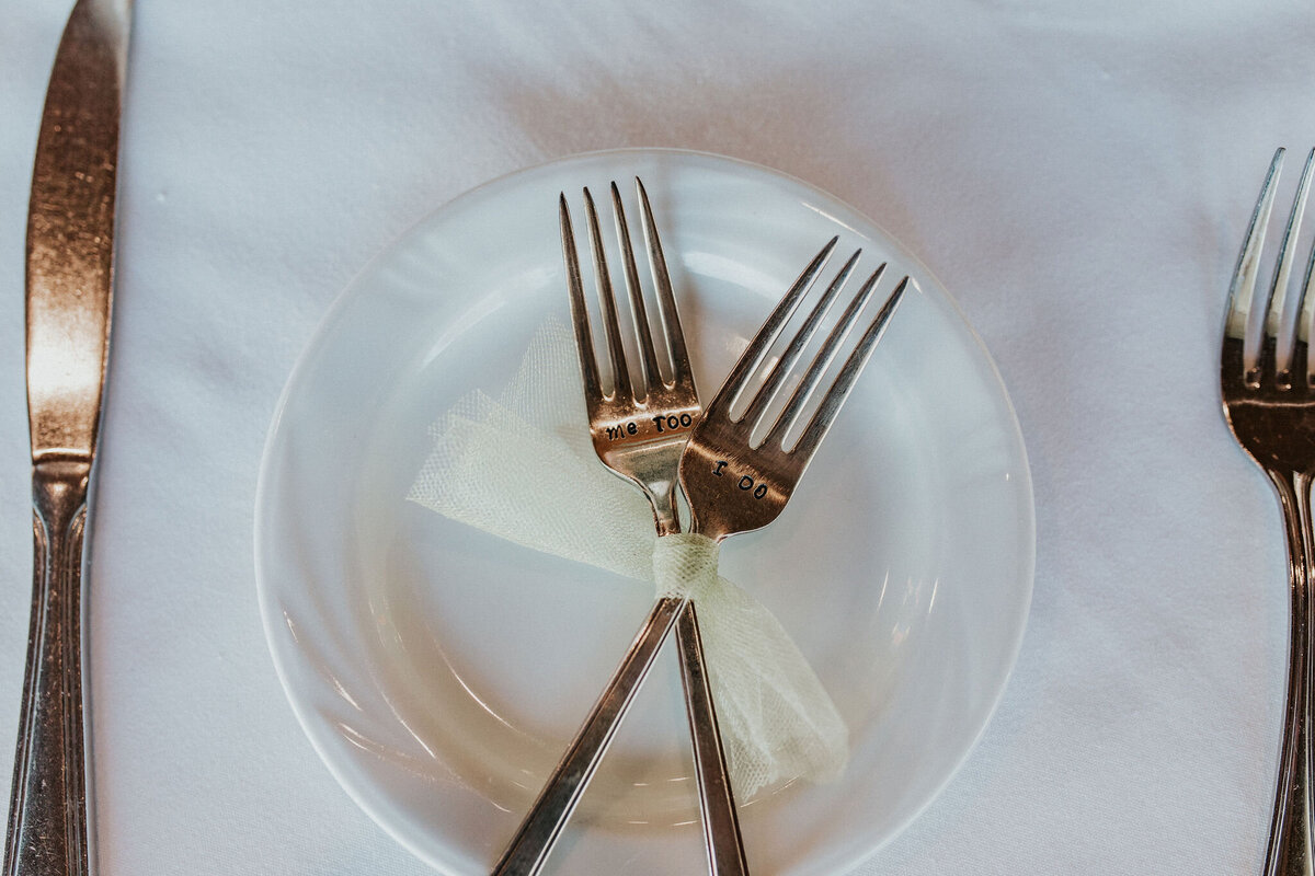 MILLS-GROSS.WEDDING-SPCC-rcptn-56
