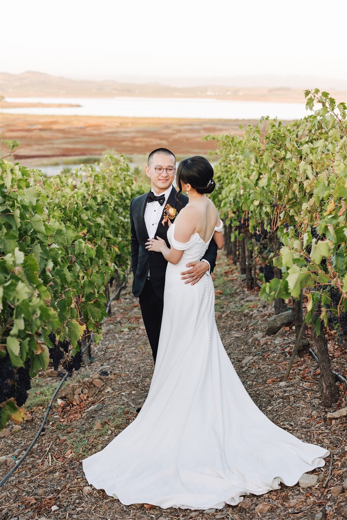 viansa-sonoma-wedding-annie-ben-ashley-carlascio-photography-0723