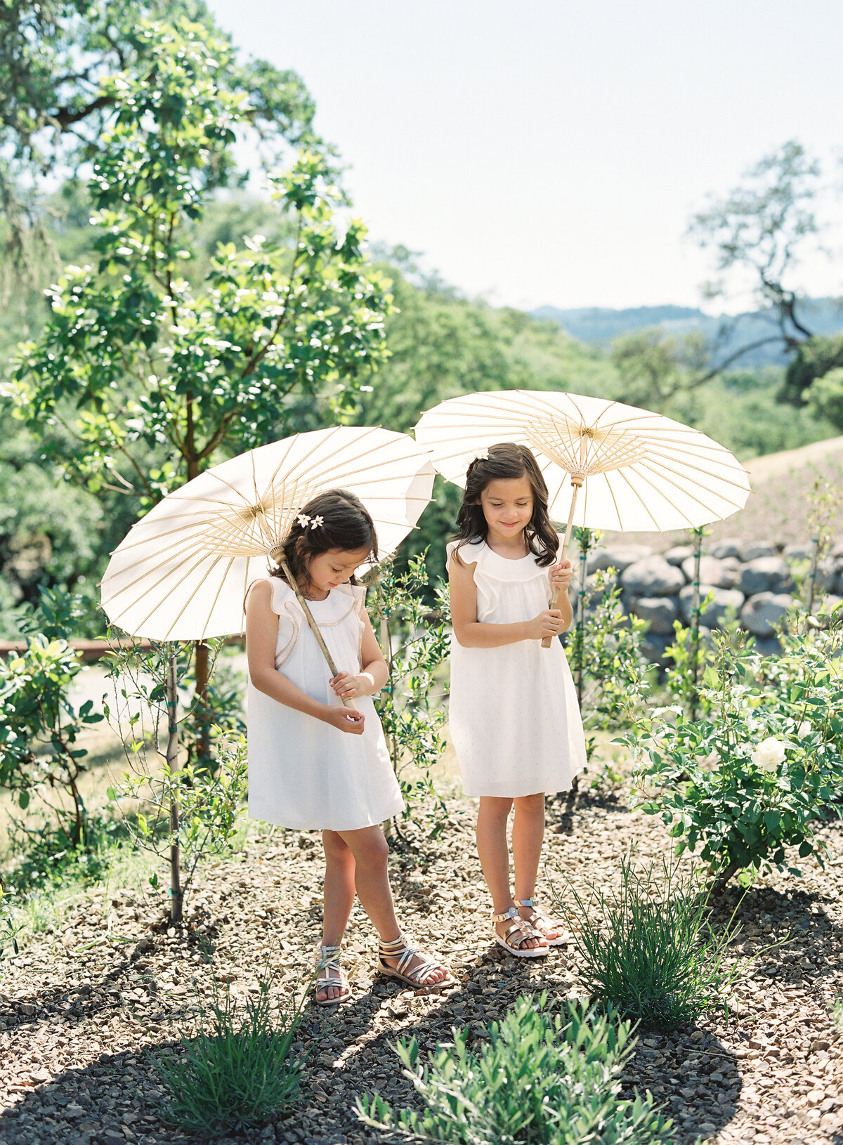 Timeless Wedding Photography in Northern California - Napa - Bir Sur - Lake Tahoe - Carmel Valley - Carlie Statsky Photgraphy -  169