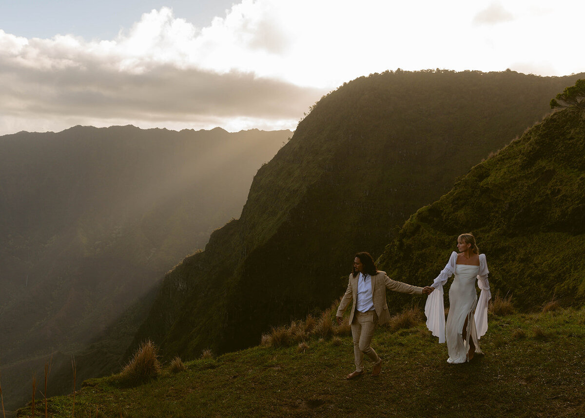 HAWAIIELOPEMENT2