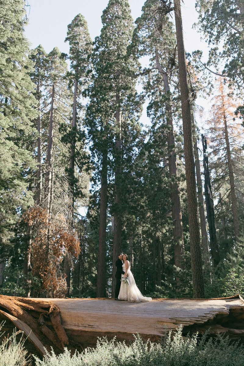 sequoianationalparkelopement-californiaelopement-153