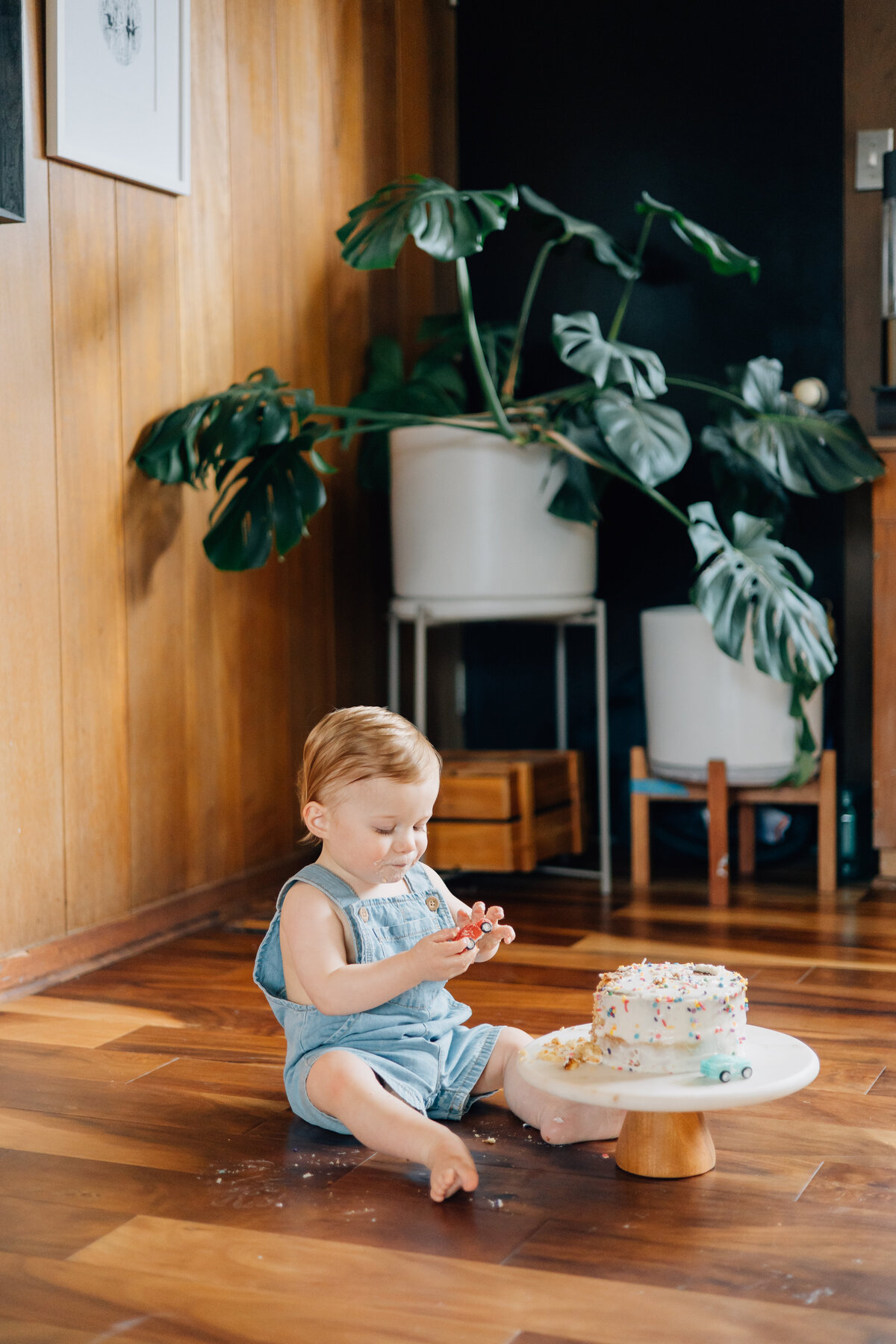 In-home family session and cake smash for one year old boy in Dallas, TX