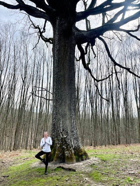 Pascale en Arbre