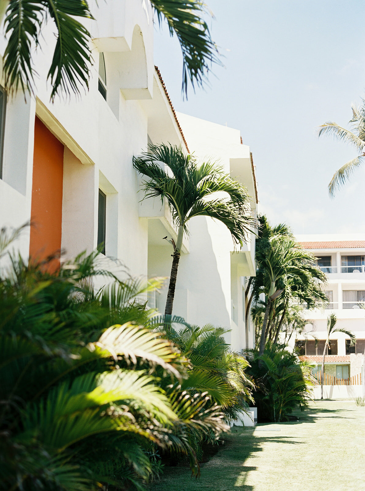 an exterior shot of a white building with palm trees