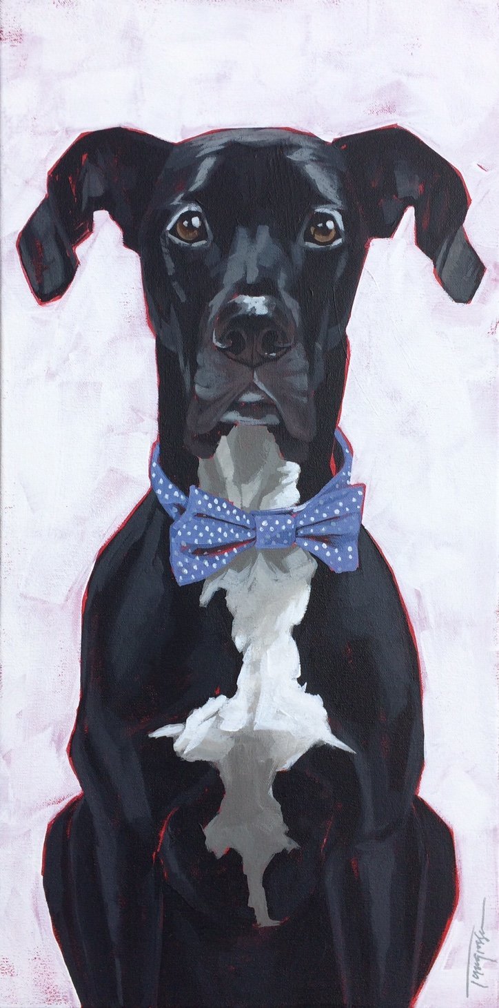 Torregrossa Fine Art Custom Pet Portrait by Stephanie T Gaffney