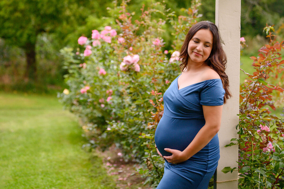 pregnant woman wearing a blue maternity dress leaning against a trellis in a rose garden for her outdoor summer maternity photography session in Burlington, Ontario 