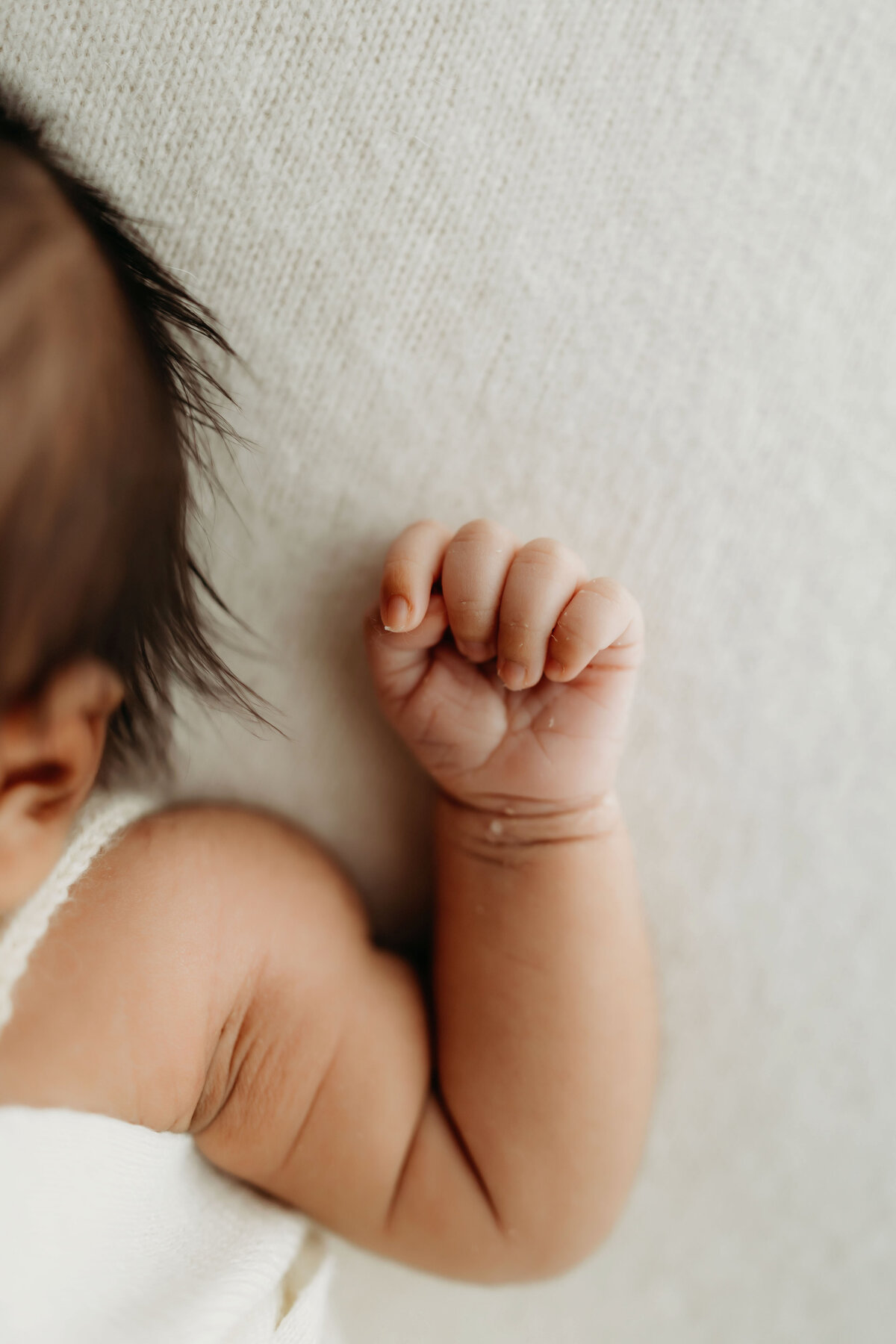 Precious details of a newborn hand, photographed inside a Vancouver Washington natural light studio