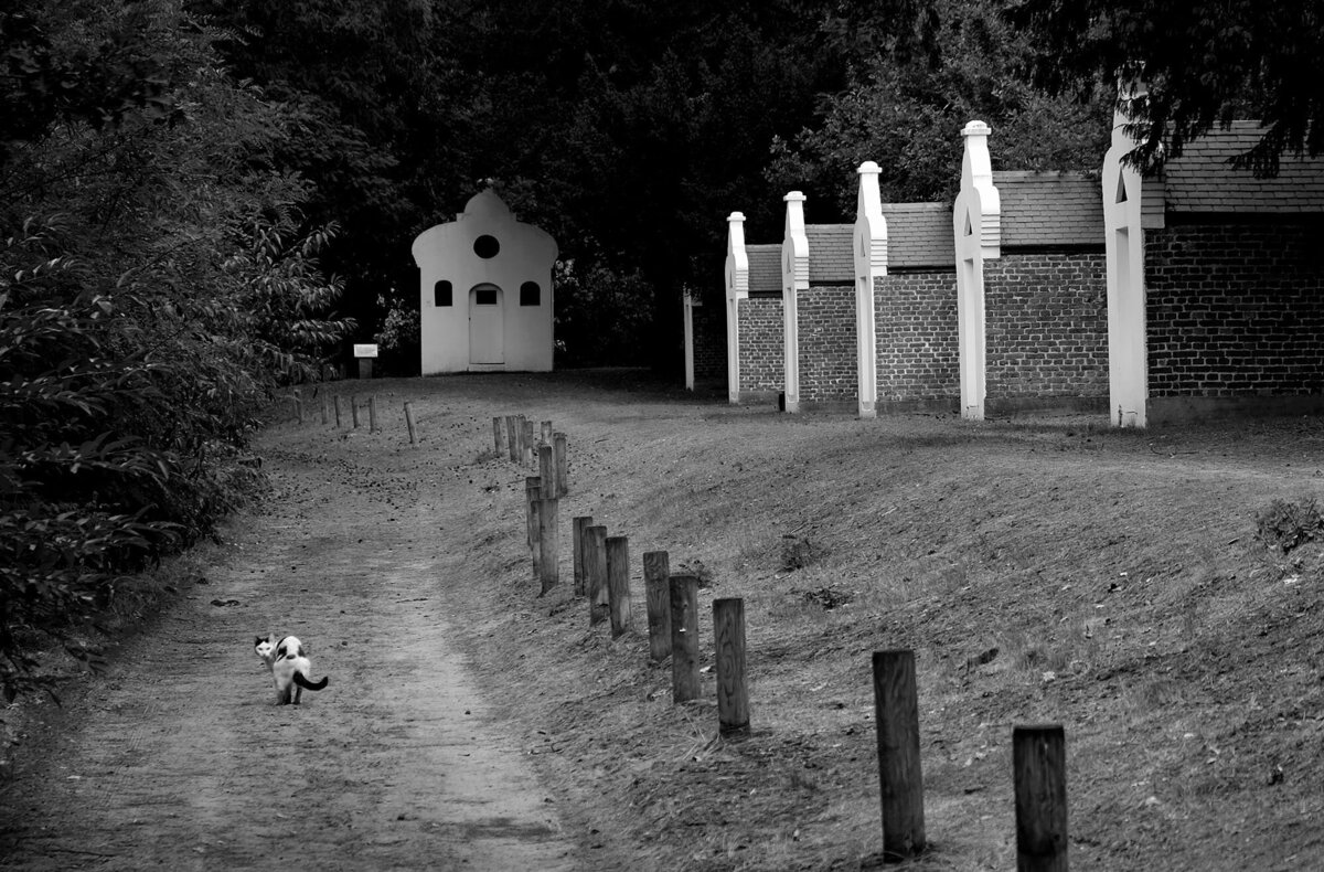 Bart Van der Moeren - De Stille Kempen - 008
