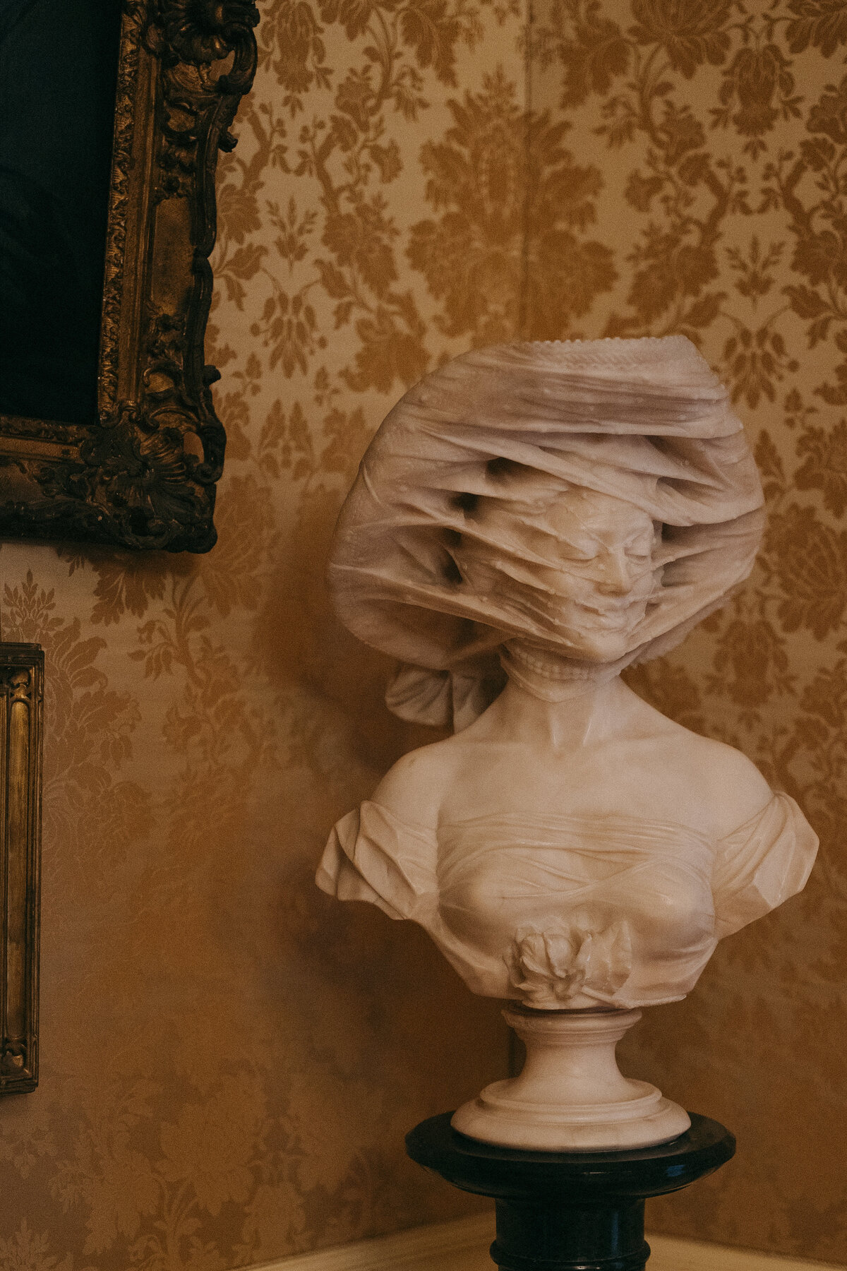 250524JORTAY_adv0111