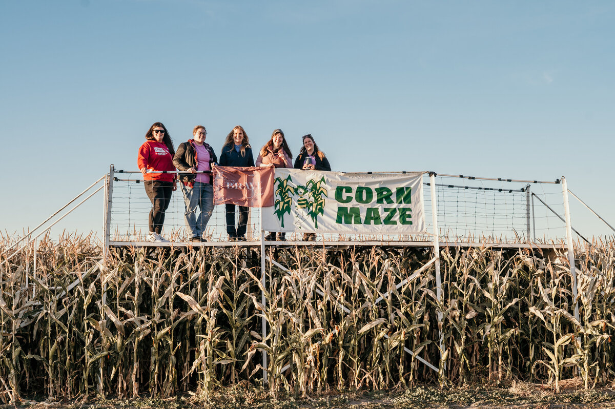 cornmaze-1000