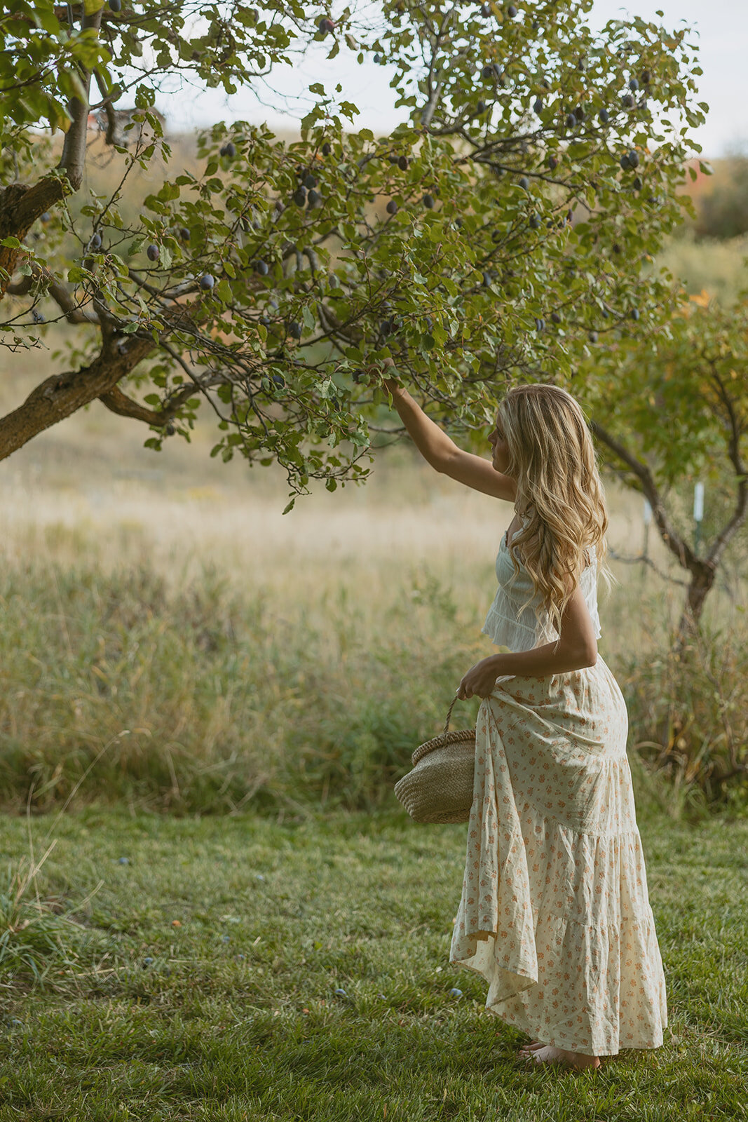 tanya-davids-photo-film-documentary-idaho-utah-oregon-washington-colorado-wedding-elopement-portrait-photographer-intention-session-apple-orchard-63