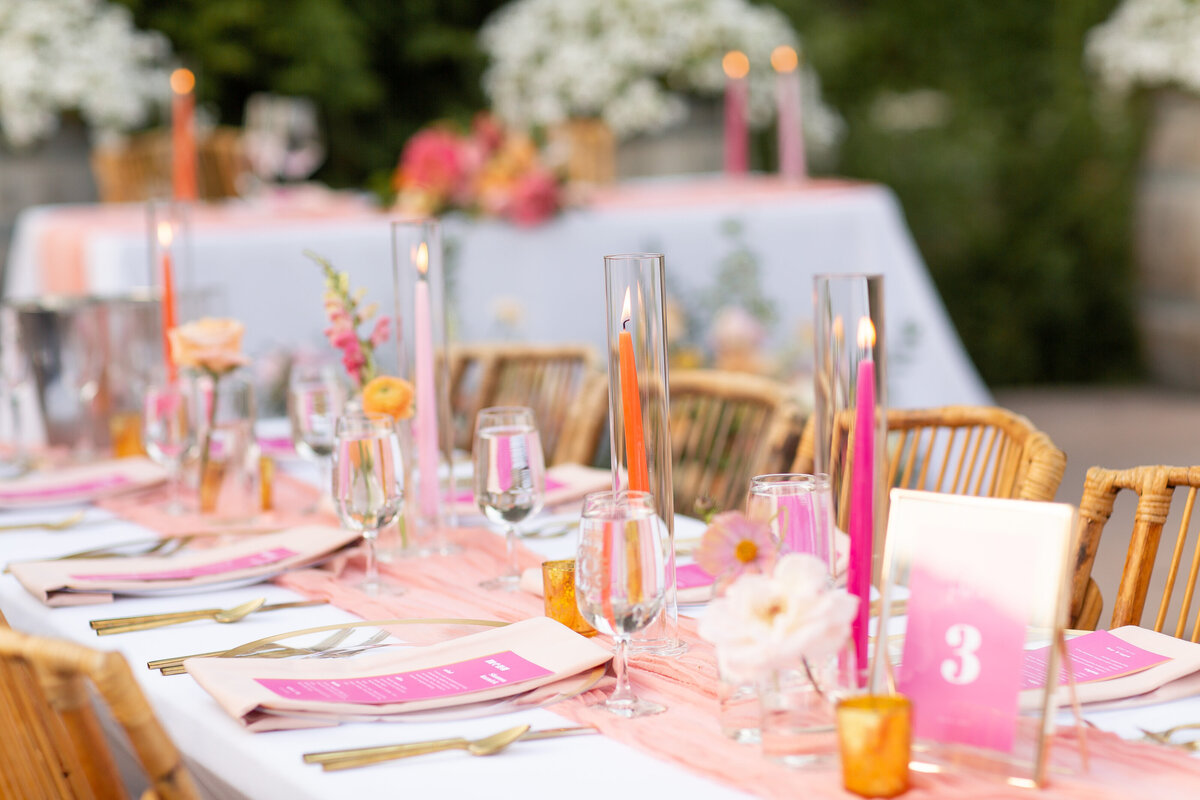 Skip and Millie Karma Vineyards Wedding