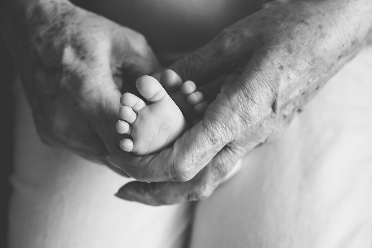 Black and white image of newborn baby feet in grandparent's hands.