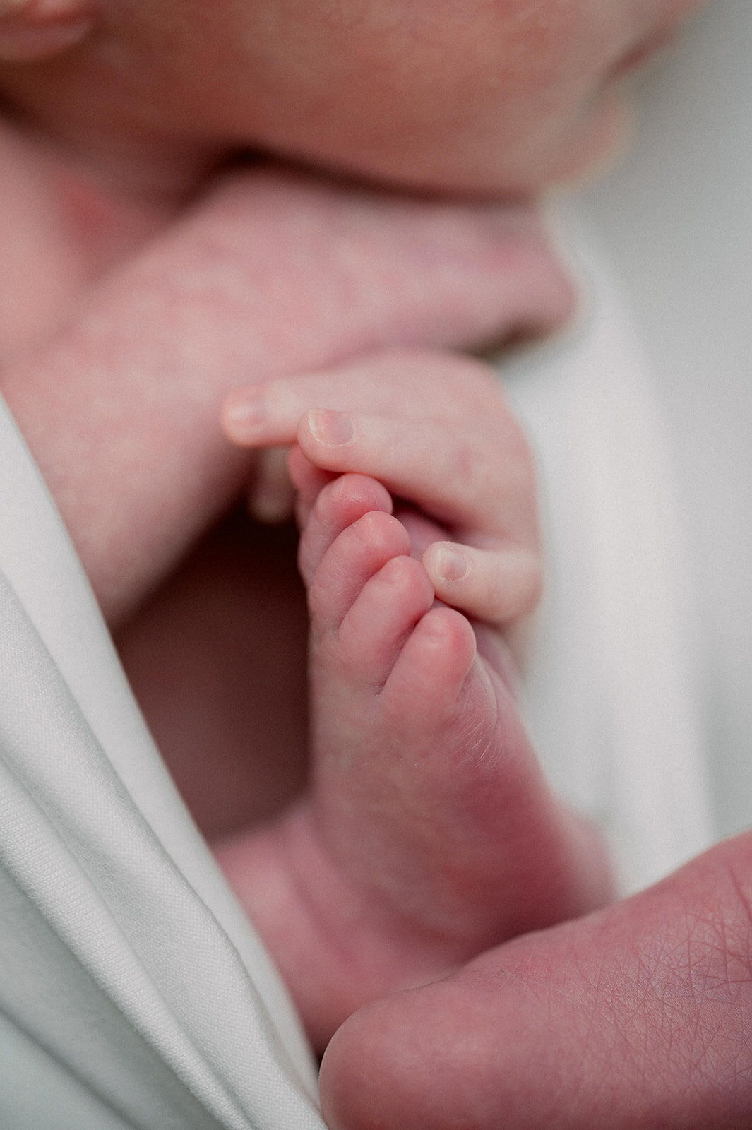 carmen_may_photography_pittsburgh_newborn_photos-9