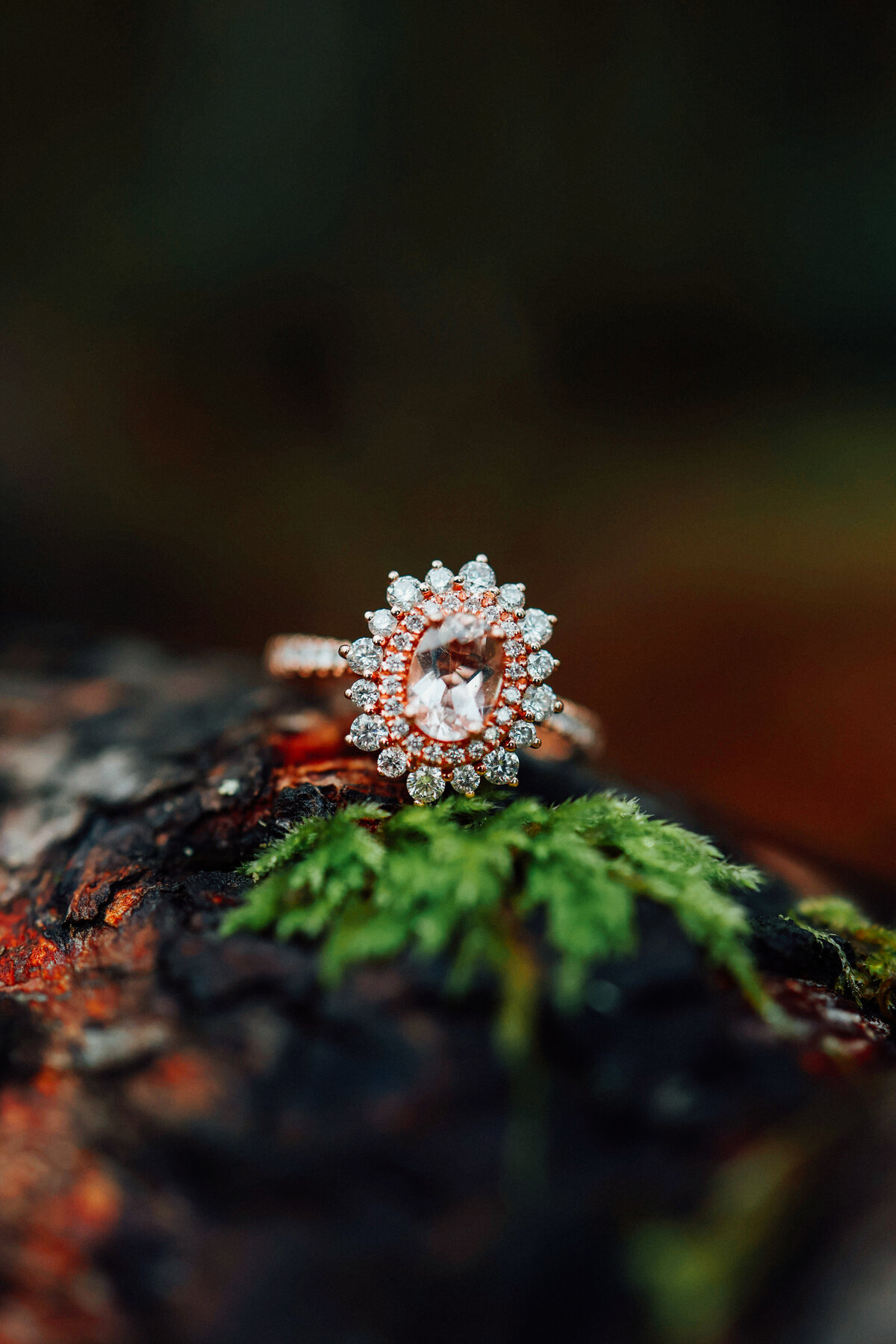 15Seattle-Wedding-photographer-associate-sydney-188