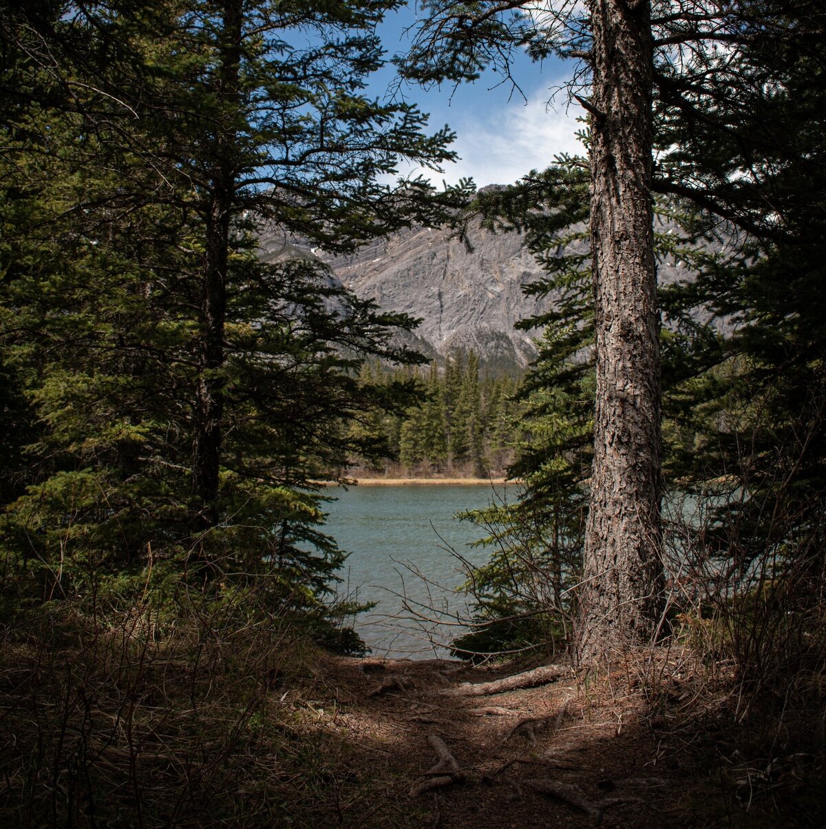 Grande Rockies Resort 7