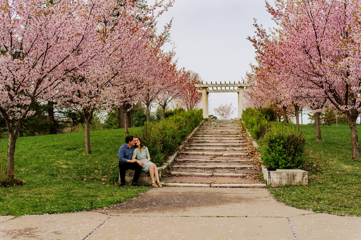 engagement couple in front of flowering trees in spring
