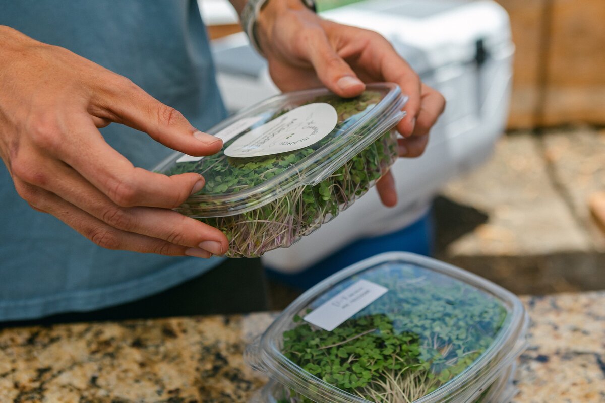 Channel-Islands-Micro-Greens-Local-Farmers-Markets-0068