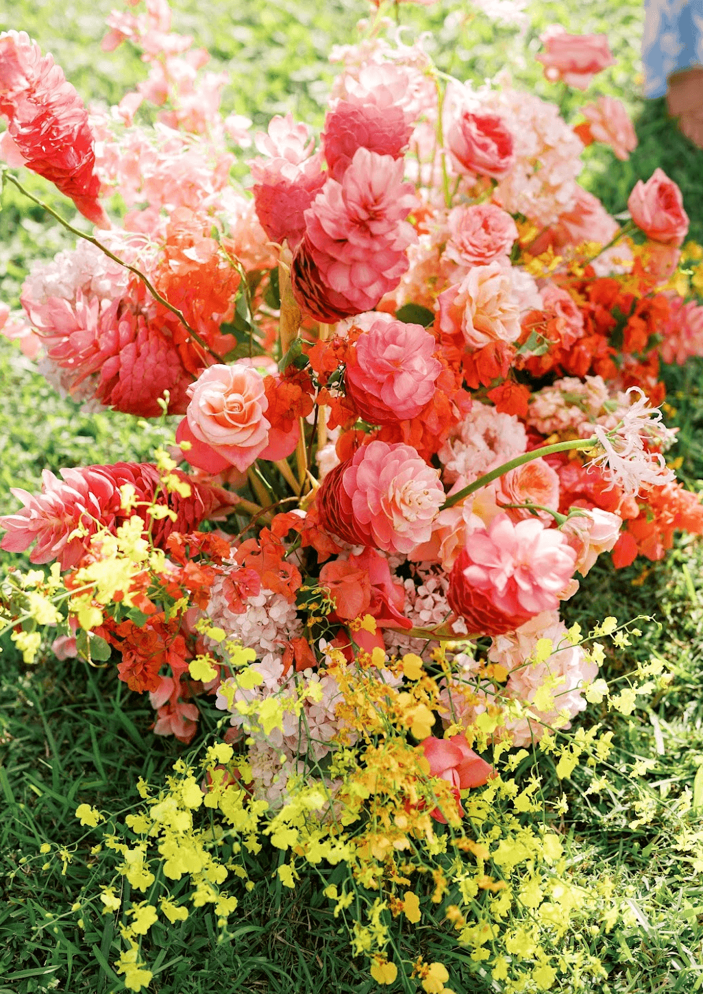 Screenshot 2025-11-25 at 8.41.08 AM