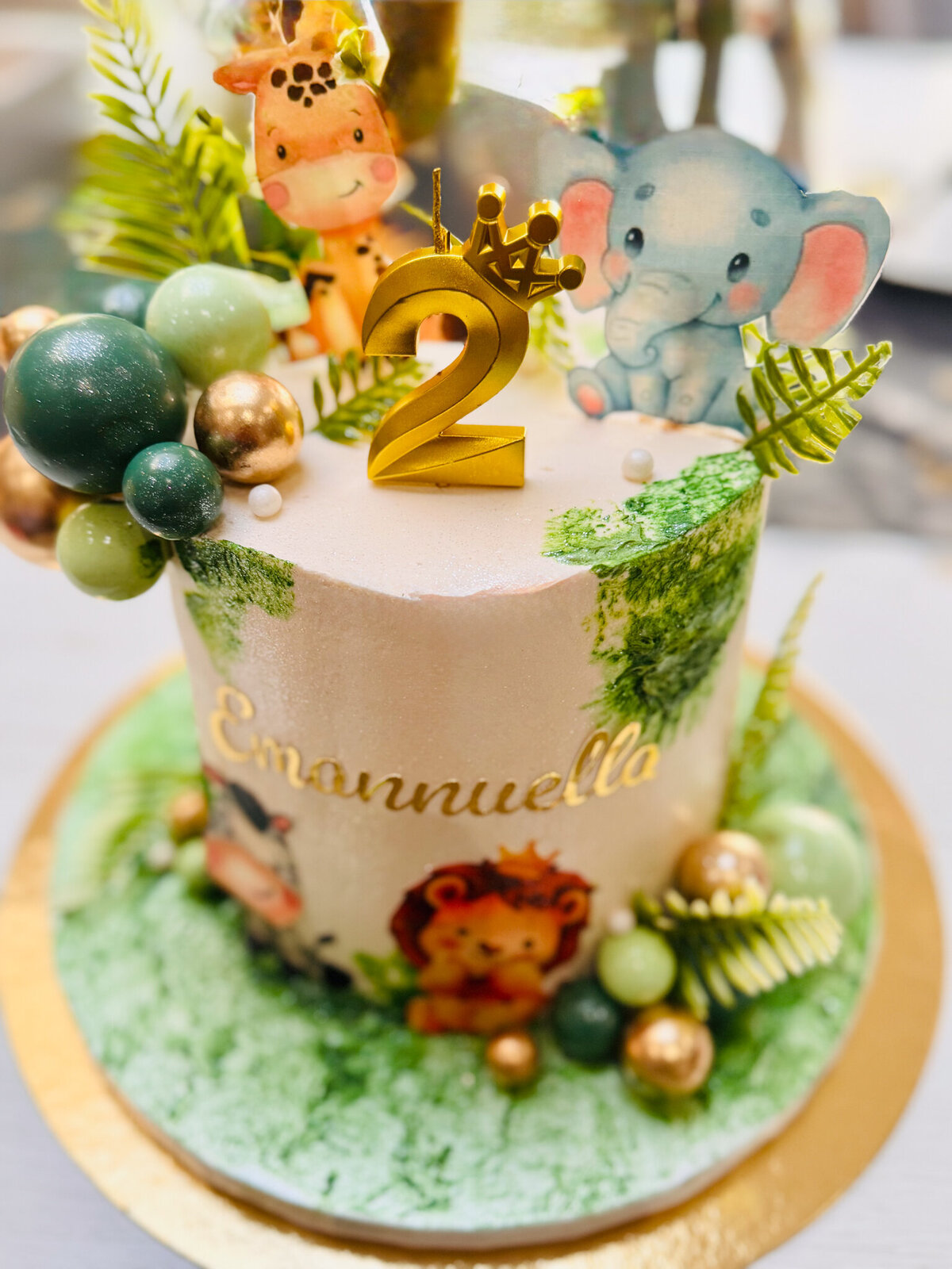 backyard-kids-2nd-birthday-jungle-theme_2848