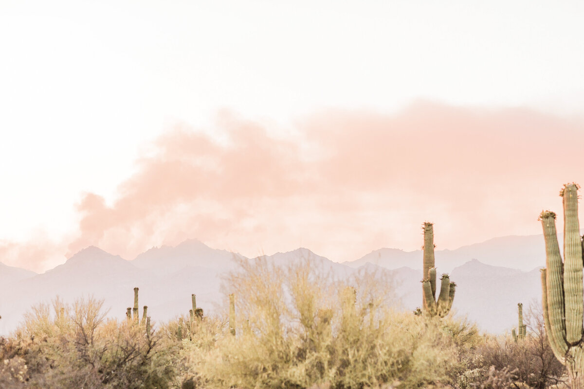 Pink billowy clouds above the mountains and cactus.
