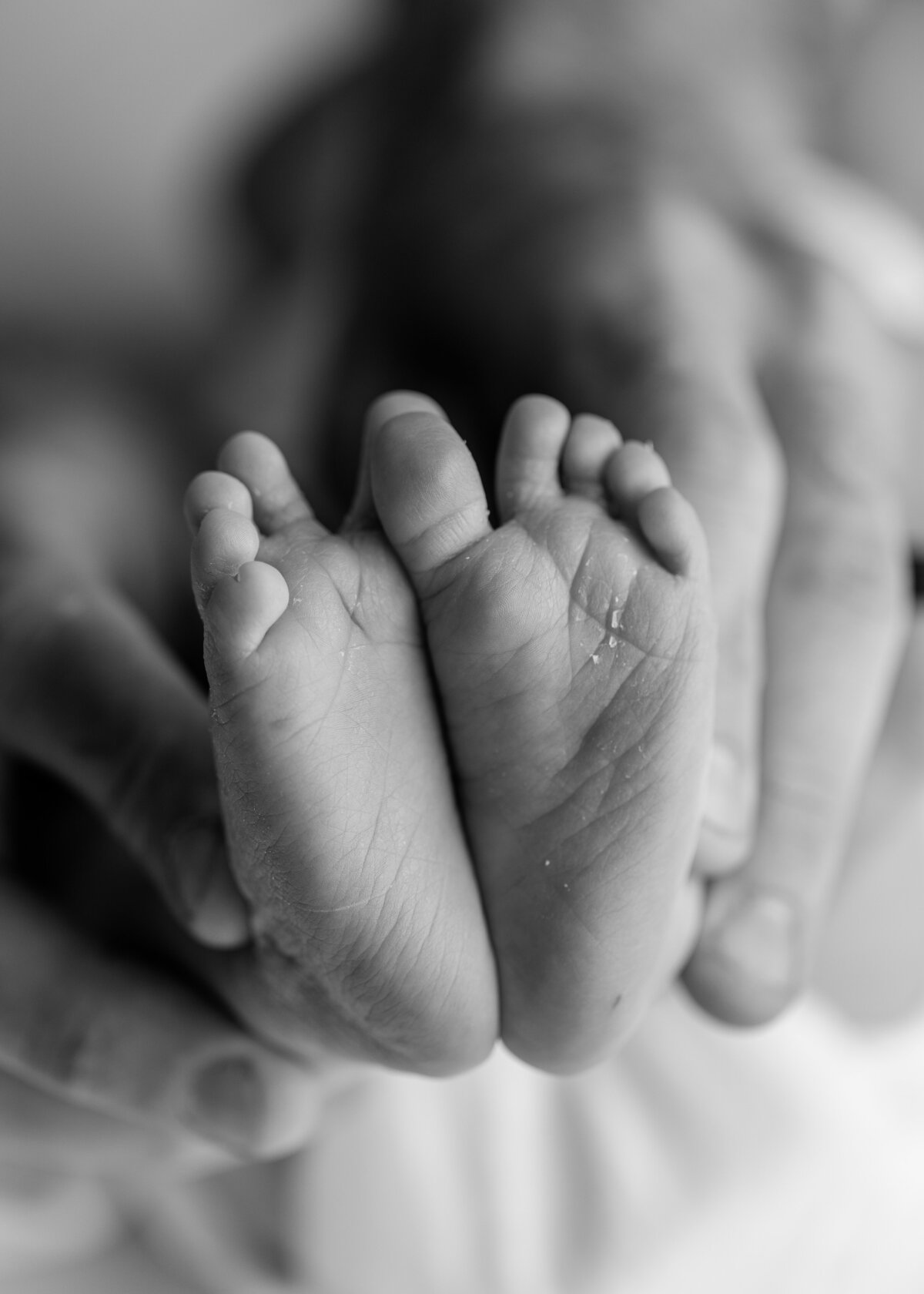 TaylorMaurerPhotography-CollinsNewborn44