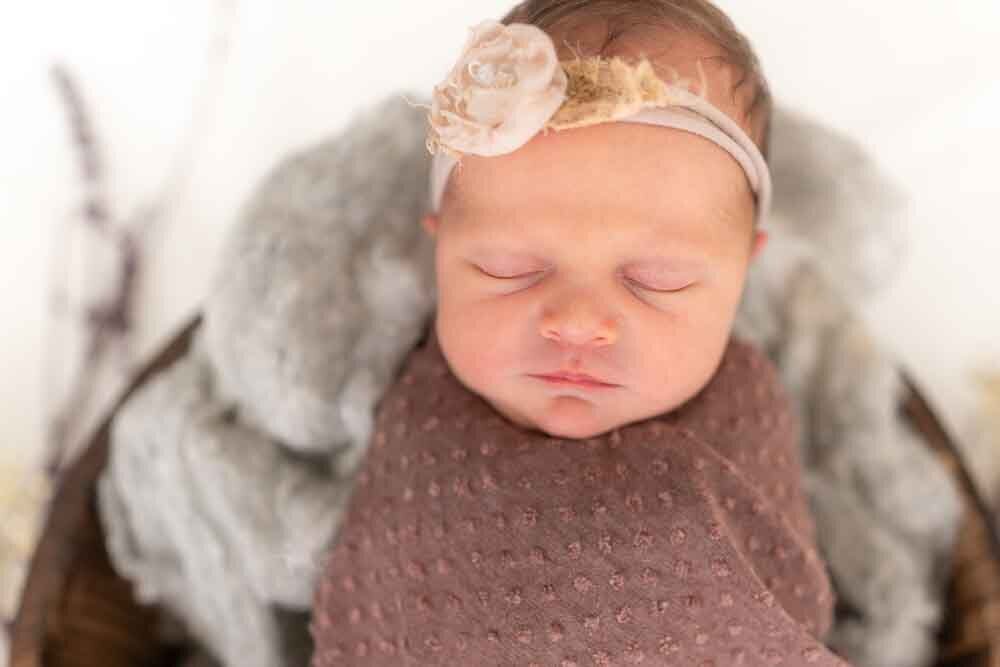 Elizabeth Priniski Madison Family Photographer Connie-4