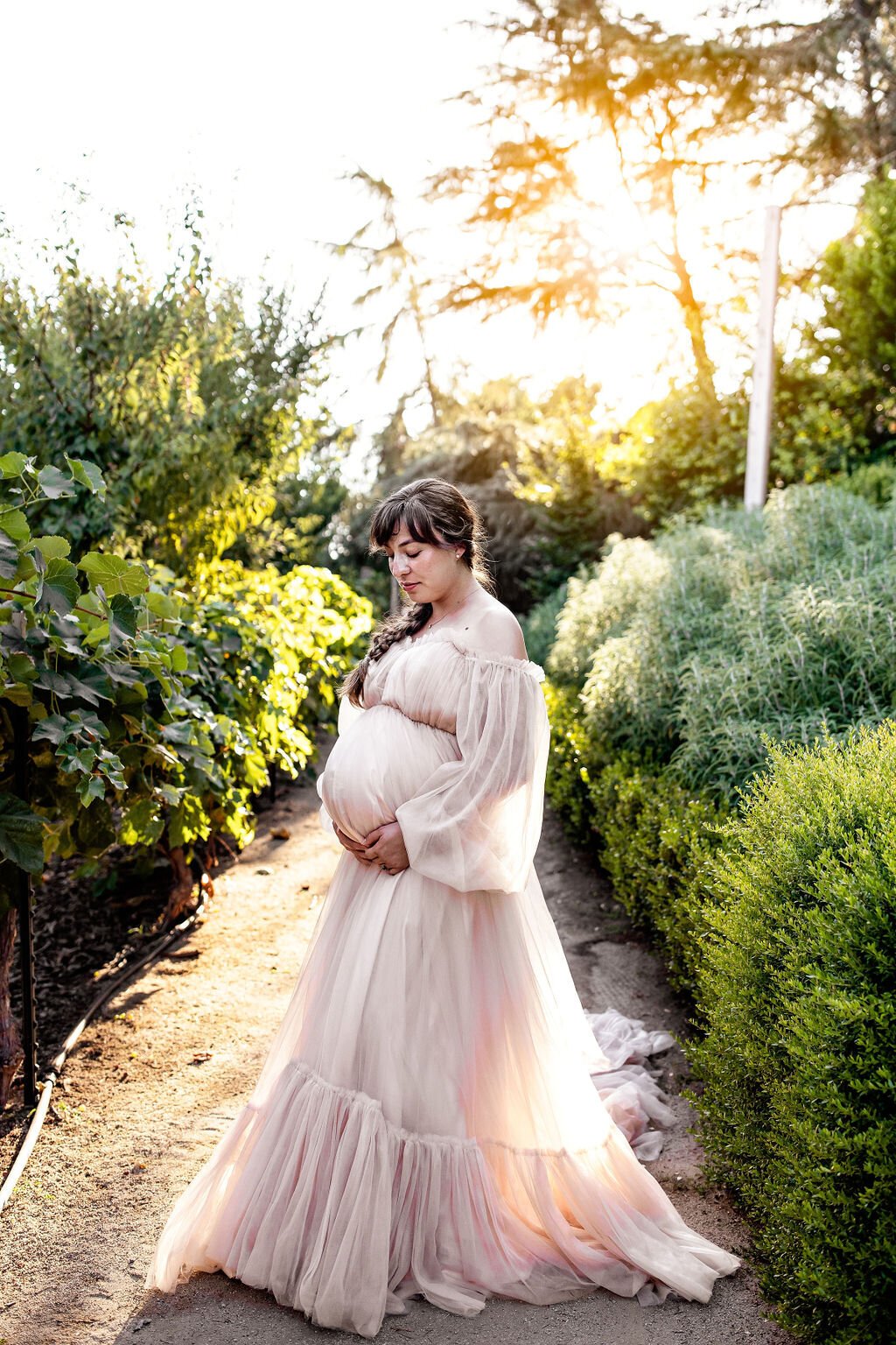 bay-area-maternity-photographer-9