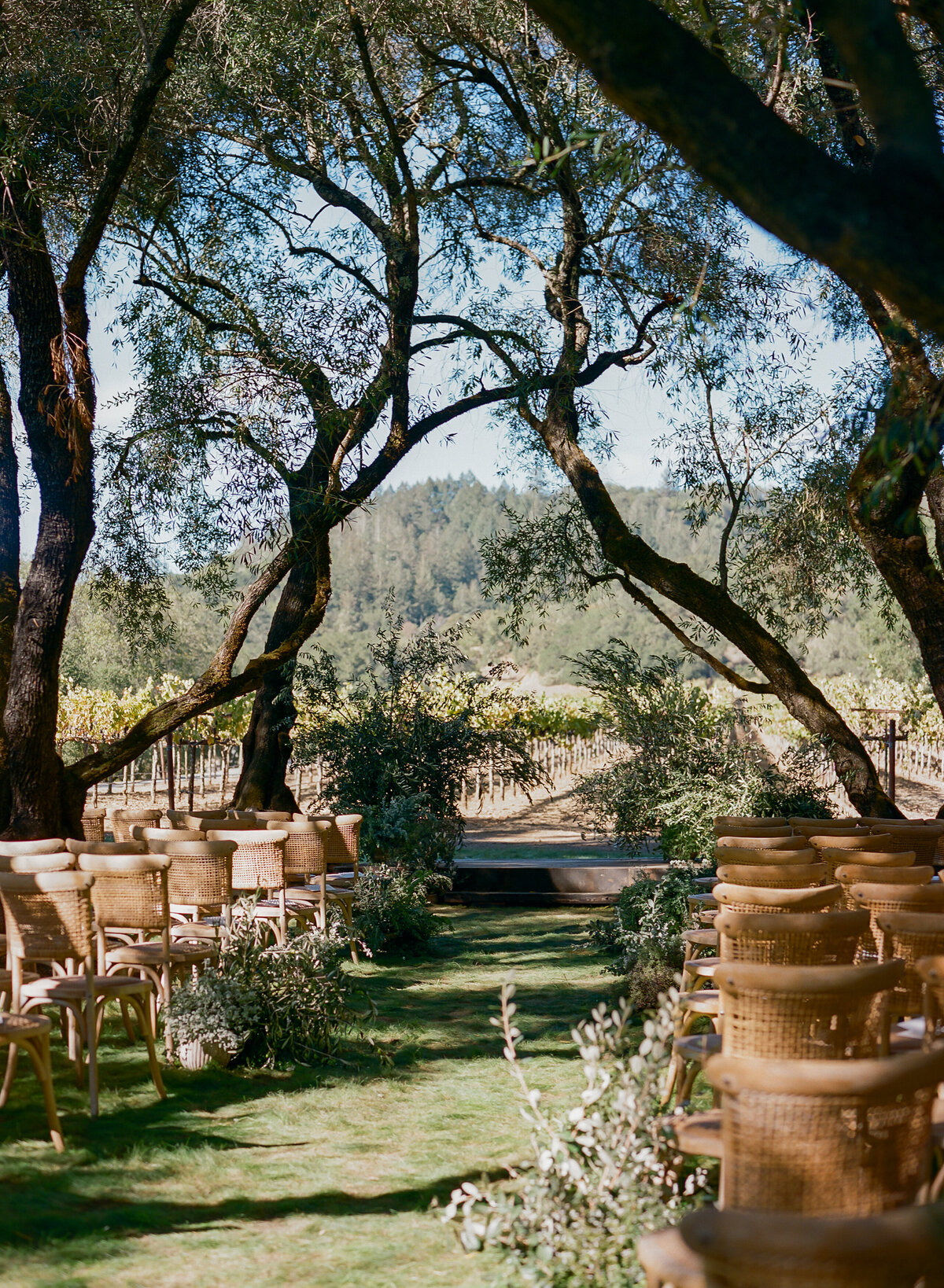 DT-2025-Celine & Gabe Highlights-269