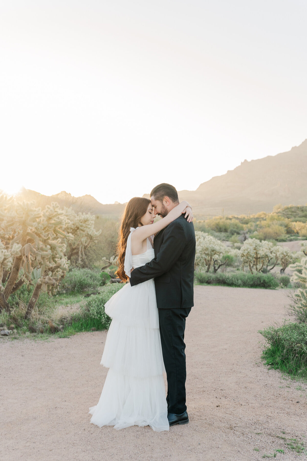 arizona-lost-dutchman-state-park-elopment-photographer-4