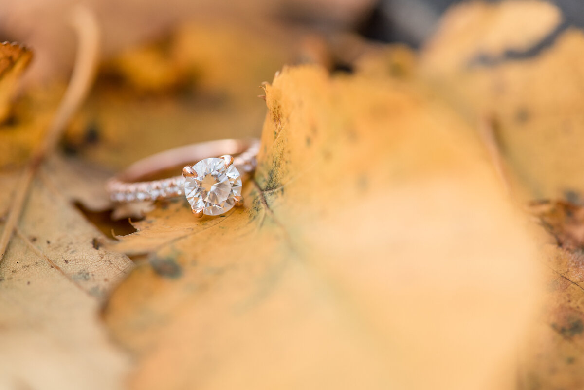 Diamond engagement ring laying on top of pile of bright golden Fall leaves in Pennsylvania.