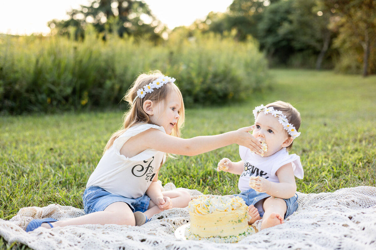 Outdoor-cake-smash-one-year-old-milestone-photography-session-Frankfort-KY-photographer-3