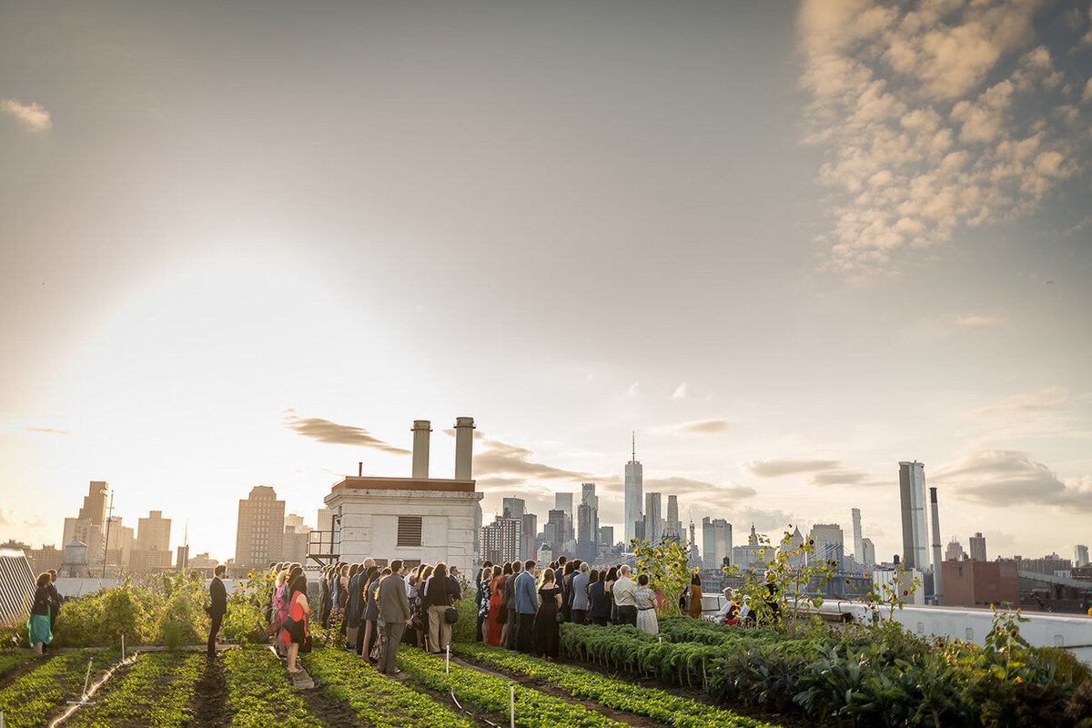 brooklyn grange wedding-39